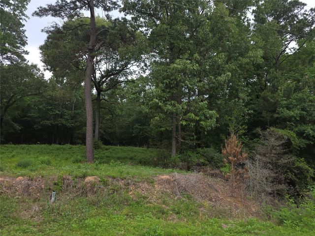 TBD Hidden Oak Drive, Point Blank, TX 77364