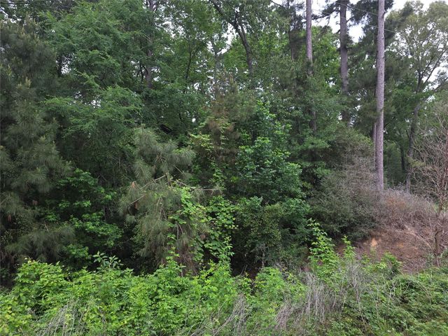 TBD Hidden Oak Drive, Point Blank, TX 77364