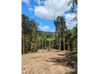0 Nw CORNELIUS PASS Rd 600, Portland, OR 97231
