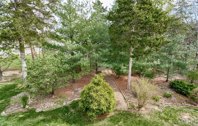 131 Hollyhock Drive, Troy, MO 63379