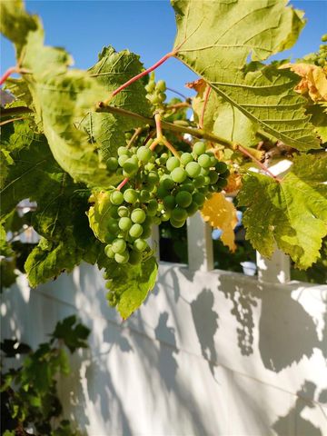 3618 BUFFETT STREET, New Port Richey, FL 34655