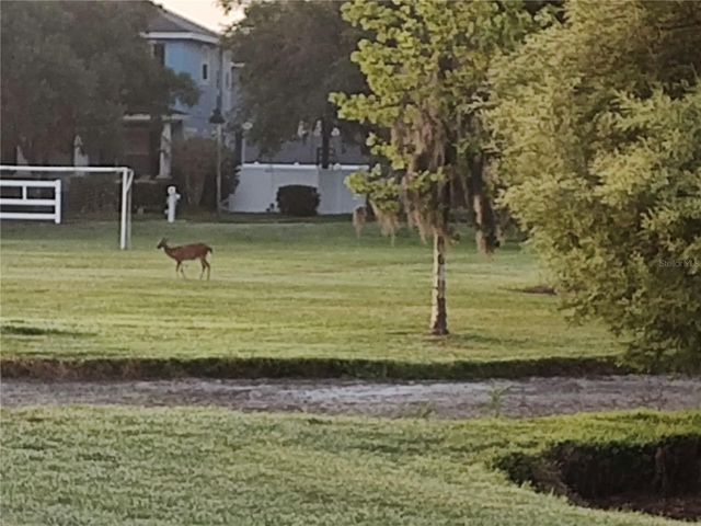 3618 BUFFETT STREET, New Port Richey, FL 34655