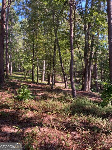 0 TRACT 2 Annandale Drive Road, Clarkesville, GA 30523