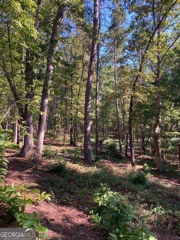 0 TRACT 2 Annandale Drive Road, Clarkesville, GA 30523