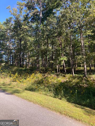 0 TRACT 2 Annandale Drive Road, Clarkesville, GA 30523