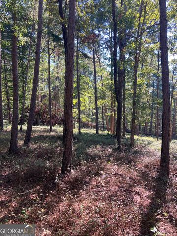 0 TRACT 2 Annandale Drive Road, Clarkesville, GA 30523
