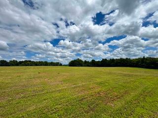 0 Ben Armstrong Rd, Castalian Springs, TN 37031