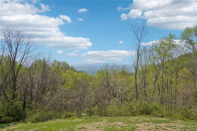 68 Raven Road, Landrum, SC 29356