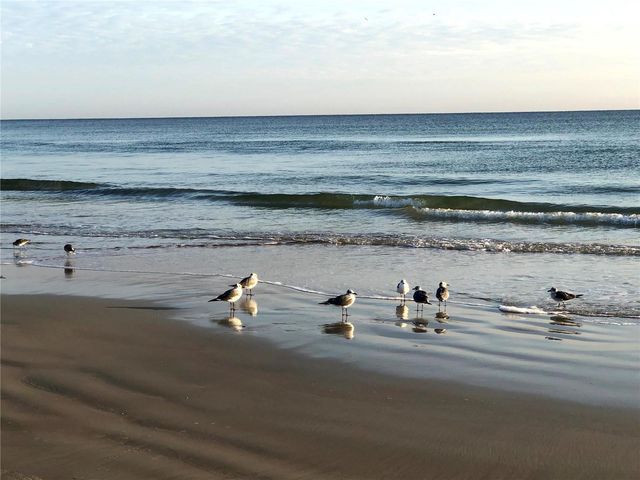 2900 N ATLANTIC AVENUE 1501, Daytona Beach, FL 32118