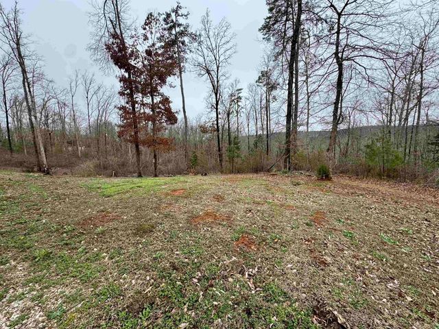 125 ELAM WAY, Savannah, TN 38310