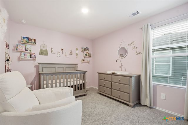 425 Lancebill Drive, Lockhart, TX 78644