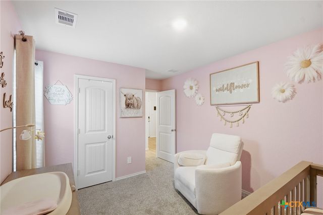 425 Lancebill Drive, Lockhart, TX 78644