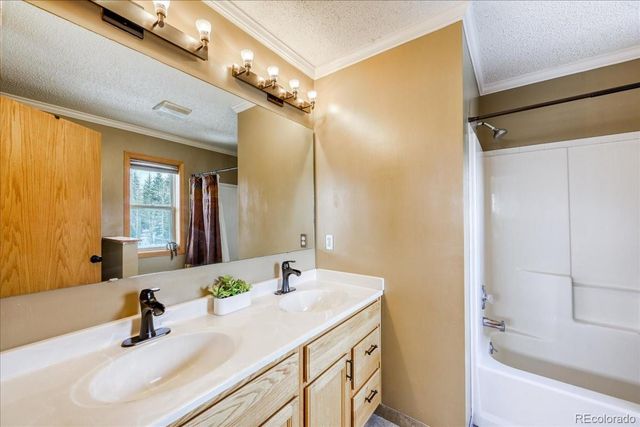 746 W Anemone Trail, Dillon, CO 80435