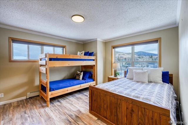 746 W Anemone Trail, Dillon, CO 80435