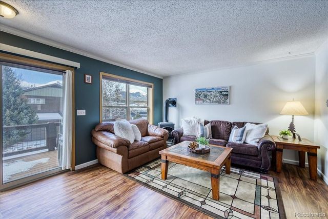 746 W Anemone Trail, Dillon, CO 80435