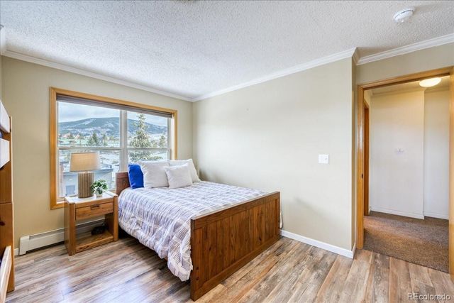 746 W Anemone Trail, Dillon, CO 80435