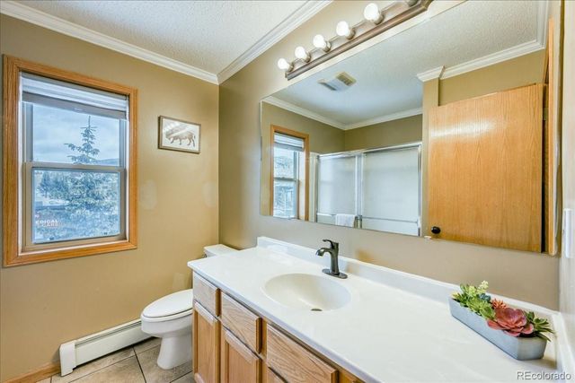 746 W Anemone Trail, Dillon, CO 80435