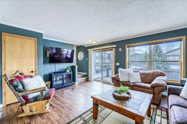 746 W Anemone Trail, Dillon, CO 80435