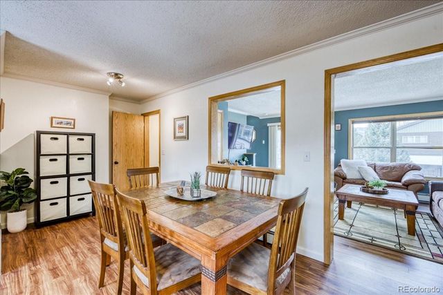 746 W Anemone Trail, Dillon, CO 80435