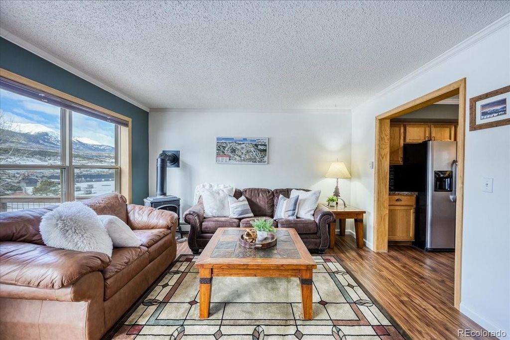 746 W Anemone Trail, Dillon, CO 80435