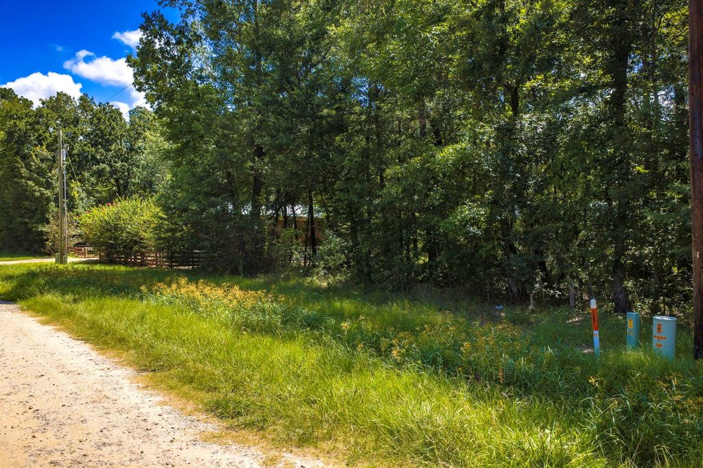 TBD Lots 21 & 22 Terlingua, Livingston, TX 77351