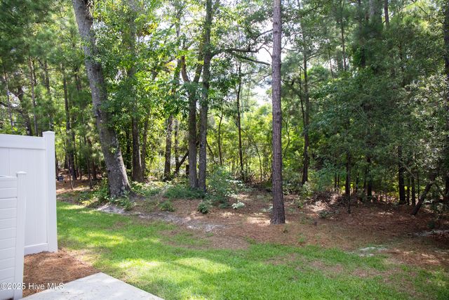 1508 Dove Shell Way, Wilmington, NC 28405