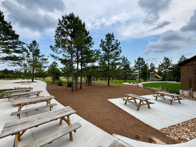 26795 Frontier Trace Drive, Montgomery, TX 77316