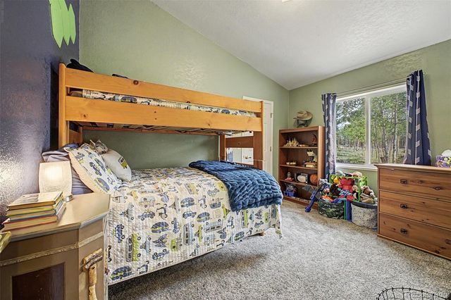 972 Wampum Lane, Como, CO 80432