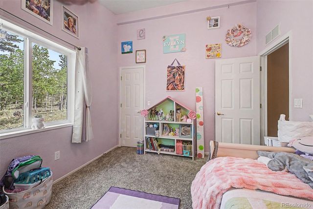 972 Wampum Lane, Como, CO 80432