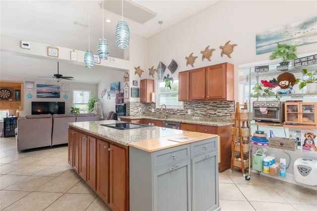 1301 MONTE LAKE DRIVE, Valrico, FL 33596