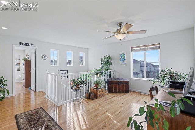 17063 Blue Mist Grove, Monument, CO 80132