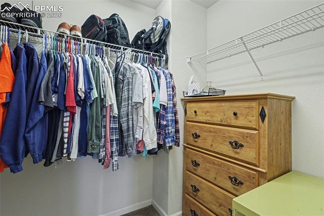 17063 Blue Mist Grove, Monument, CO 80132