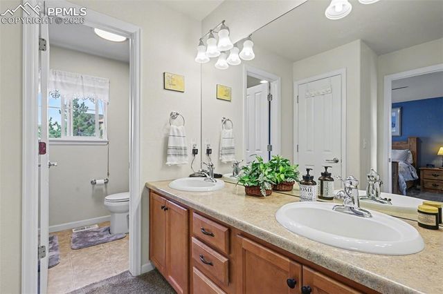 17063 Blue Mist Grove, Monument, CO 80132