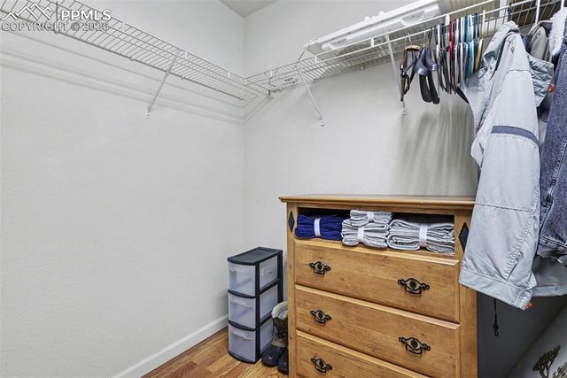 17063 Blue Mist Grove, Monument, CO 80132