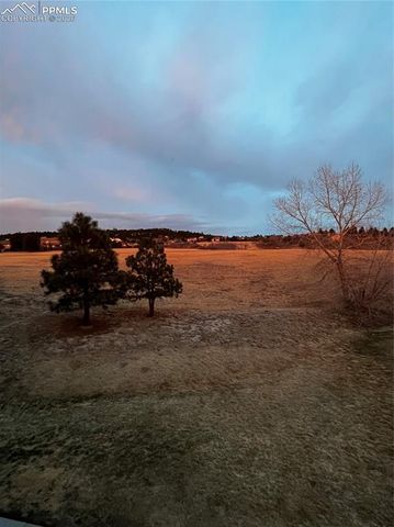 17063 Blue Mist Grove, Monument, CO 80132