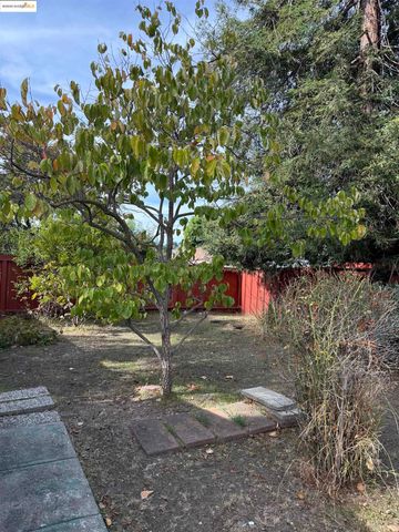 1735 David Ave, Concord, CA 94518