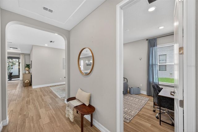 4711 SAN MARTINO DRIVE, Wesley Chapel, FL 33543