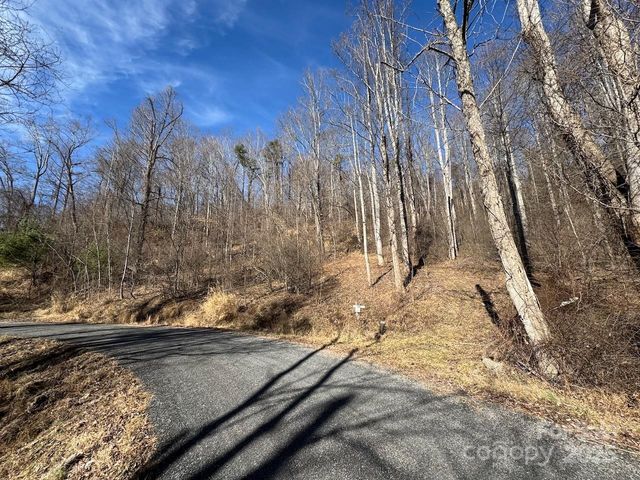 TBD Glen Valley Way 187,200, Weaverville, NC 28787