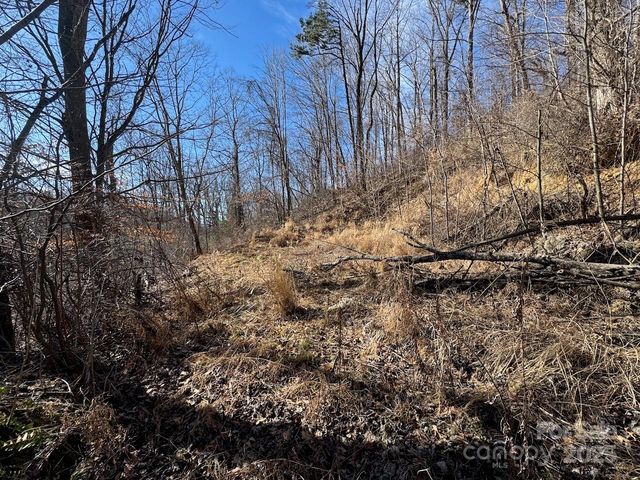 TBD Glen Valley Way 187,200, Weaverville, NC 28787