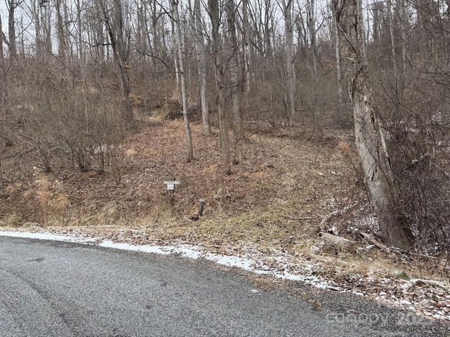 TBD Glen Valley Way 187,200, Weaverville, NC 28787