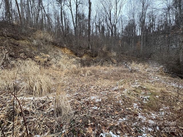 TBD Glen Valley Way 187,200, Weaverville, NC 28787