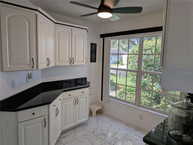 3805 DOUNE WAY, Clermont, FL 34711