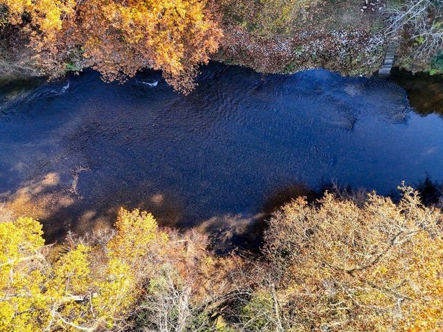 76 River Forest Place, Suches, GA 30572