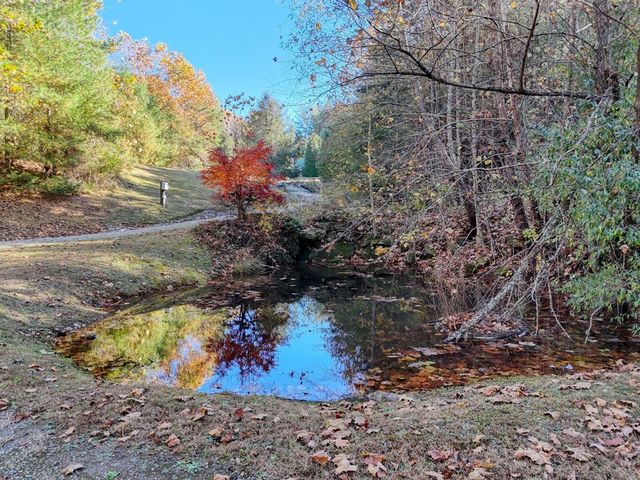 76 River Forest Place, Suches, GA 30572