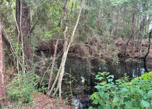 Robertsdale Road, Gautier, MS 39553