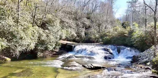 262 Rooster Cove, Brevard, NC 28712