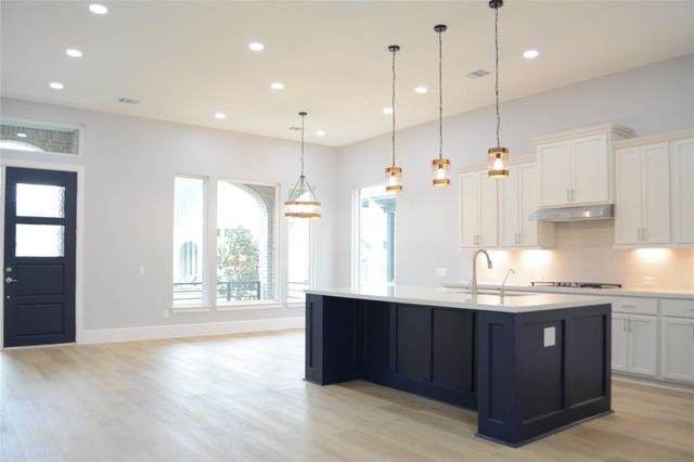 120 Dandelion Way, Montgomery, TX 77316