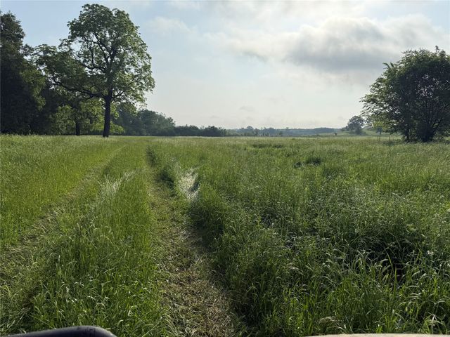 3222 FM 1254, Mineola, TX 75773