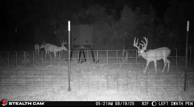 3222 FM 1254, Mineola, TX 75773