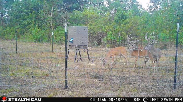 3222 FM 1254, Mineola, TX 75773